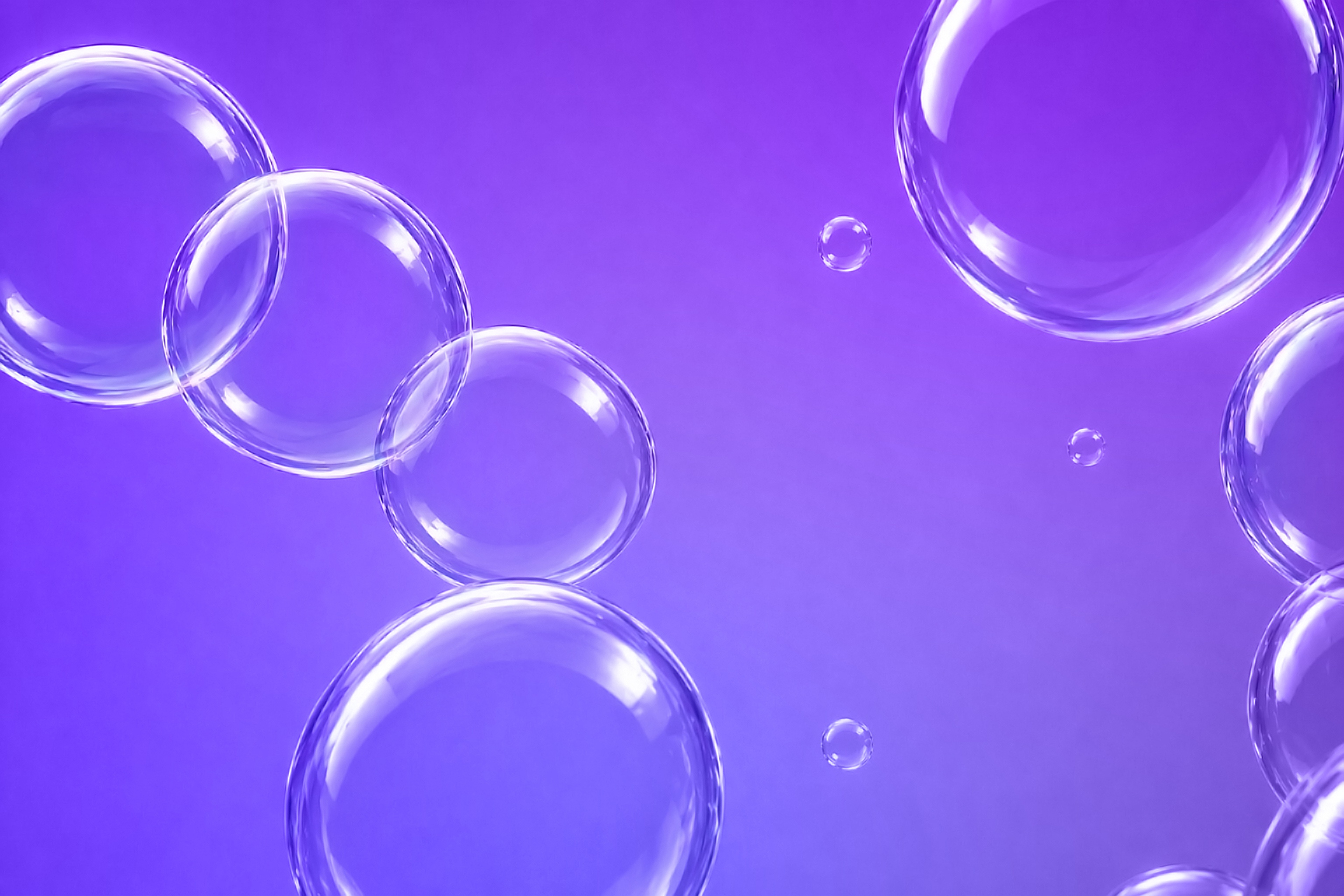 Soap bubbles flying on a purple background